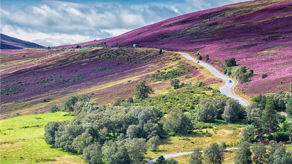 Landscape countryside view